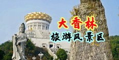 想男人操我逼了外国人视频中国浙江-绍兴大香林旅游风景区
